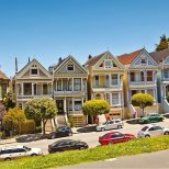 Painted Ladies